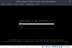 JBNet Debian8 LVM - cfdisk