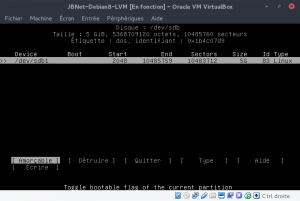 JBNet Debian8 LVM - cfdisk - partition créé