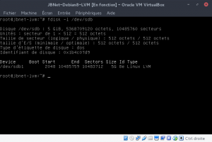 JBNet Debian8 LVM - fdisk - Vérification