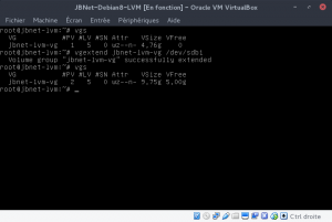 JBNet Debian8 LVM - vgextend