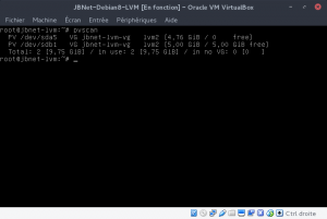 JBNet Debian8 LVM - pvscan