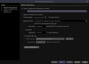 NetBeans - Push to Remote Repository - Git Repository Location