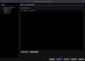 NetBeans - Push to Remote Repository - Local branche