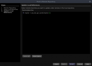 NetBeans - Push to Remote Repository - Remote branche